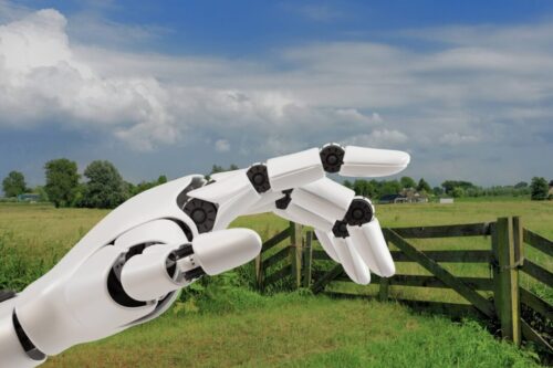 Projet européen REVITAL : découvrez les dernières actualités et la vidéo du projet à l’EPS de Garazi