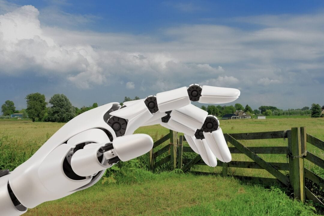 Projet européen REVITAL : découvrez les dernières actualités et la vidéo du projet à l’EPS de Garazi